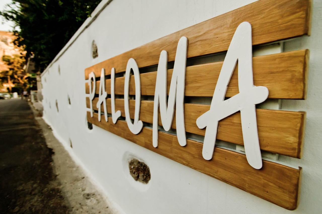 Paloma Luxury Studios Panormos  Zewnętrze zdjęcie